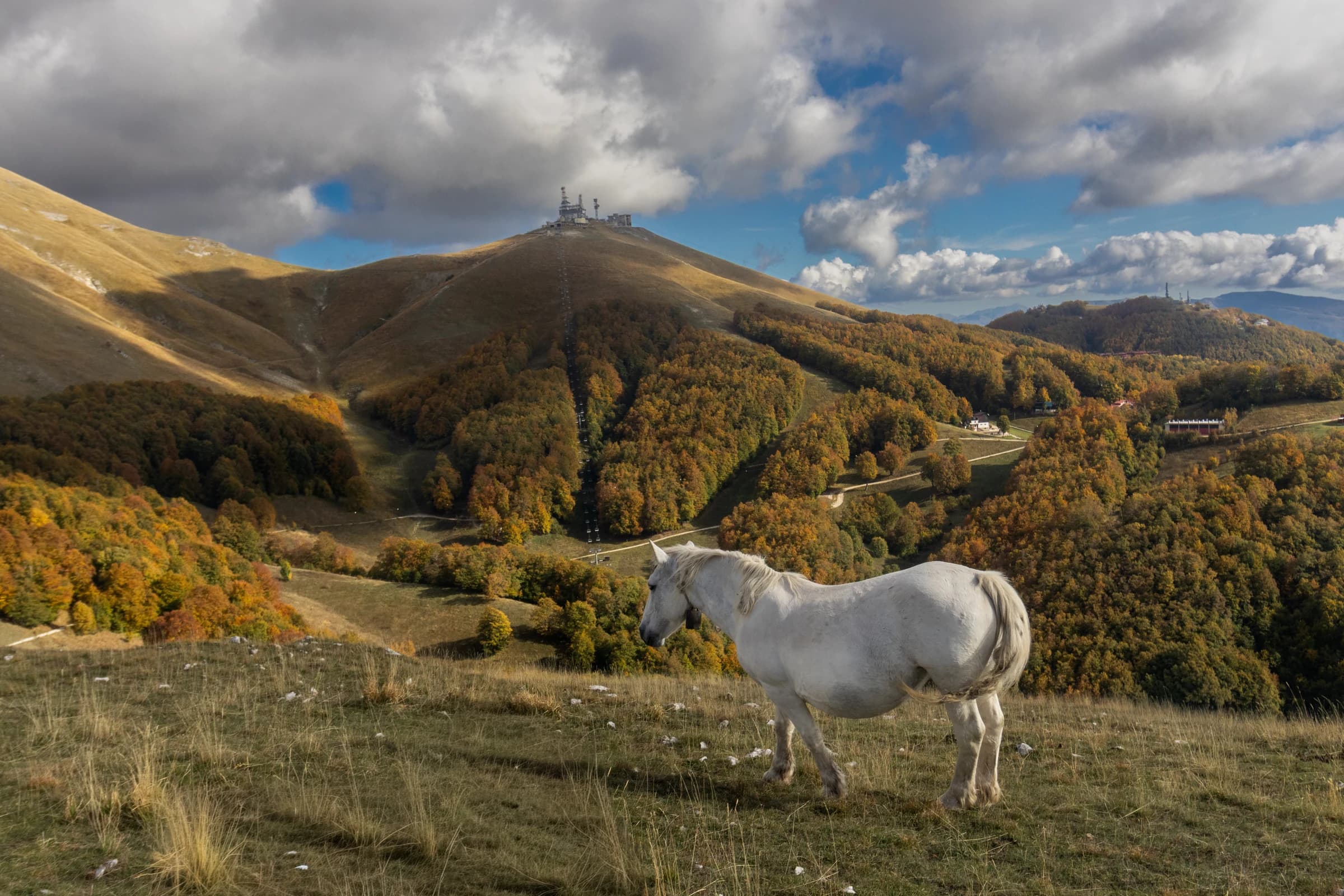 Orizontul tăcut
